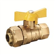 Injap Bola Kesatuan Wanita